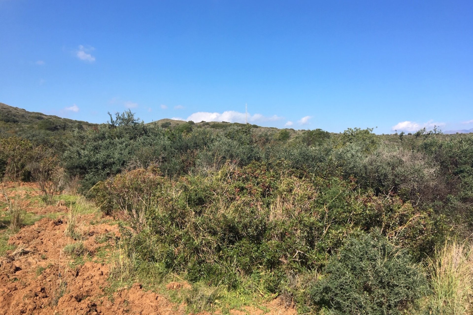 Reventa - Plot - Land - Manilva - Manilva Centro