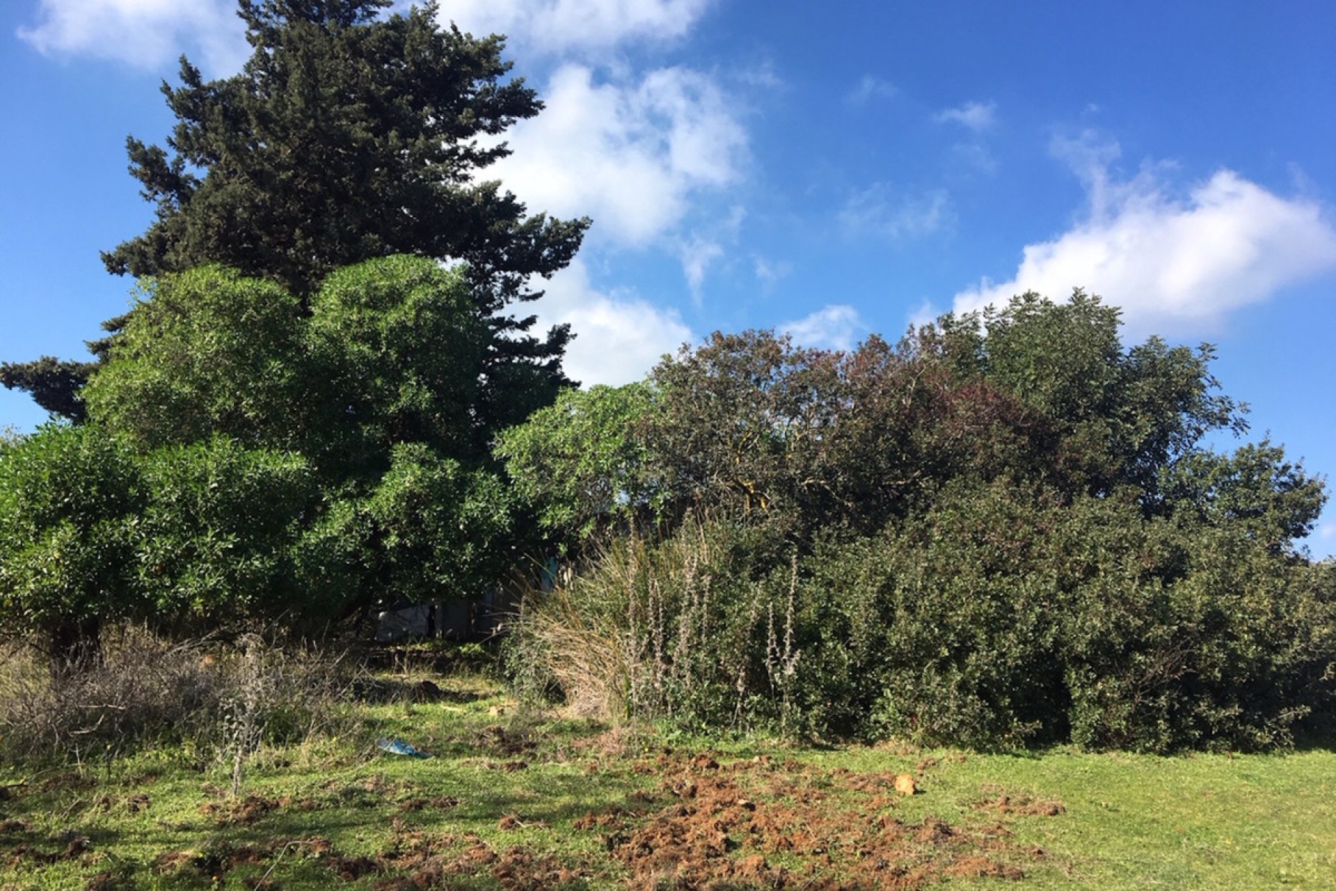 Reventa - Plot - Land - Manilva - Manilva Centro