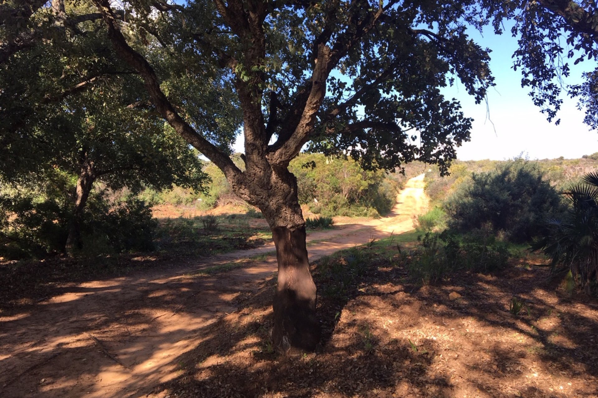 Reventa - Plot - Land - Manilva - Manilva Centro