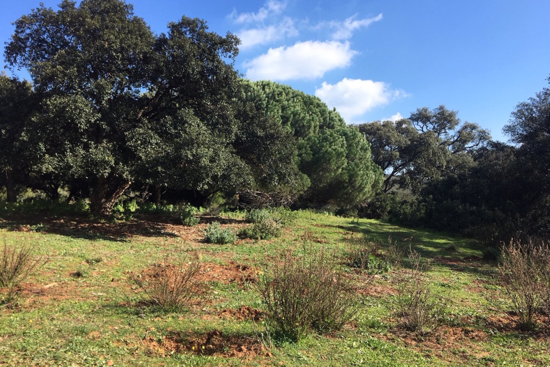 Reventa - Plot - Land - Manilva - Manilva Centro