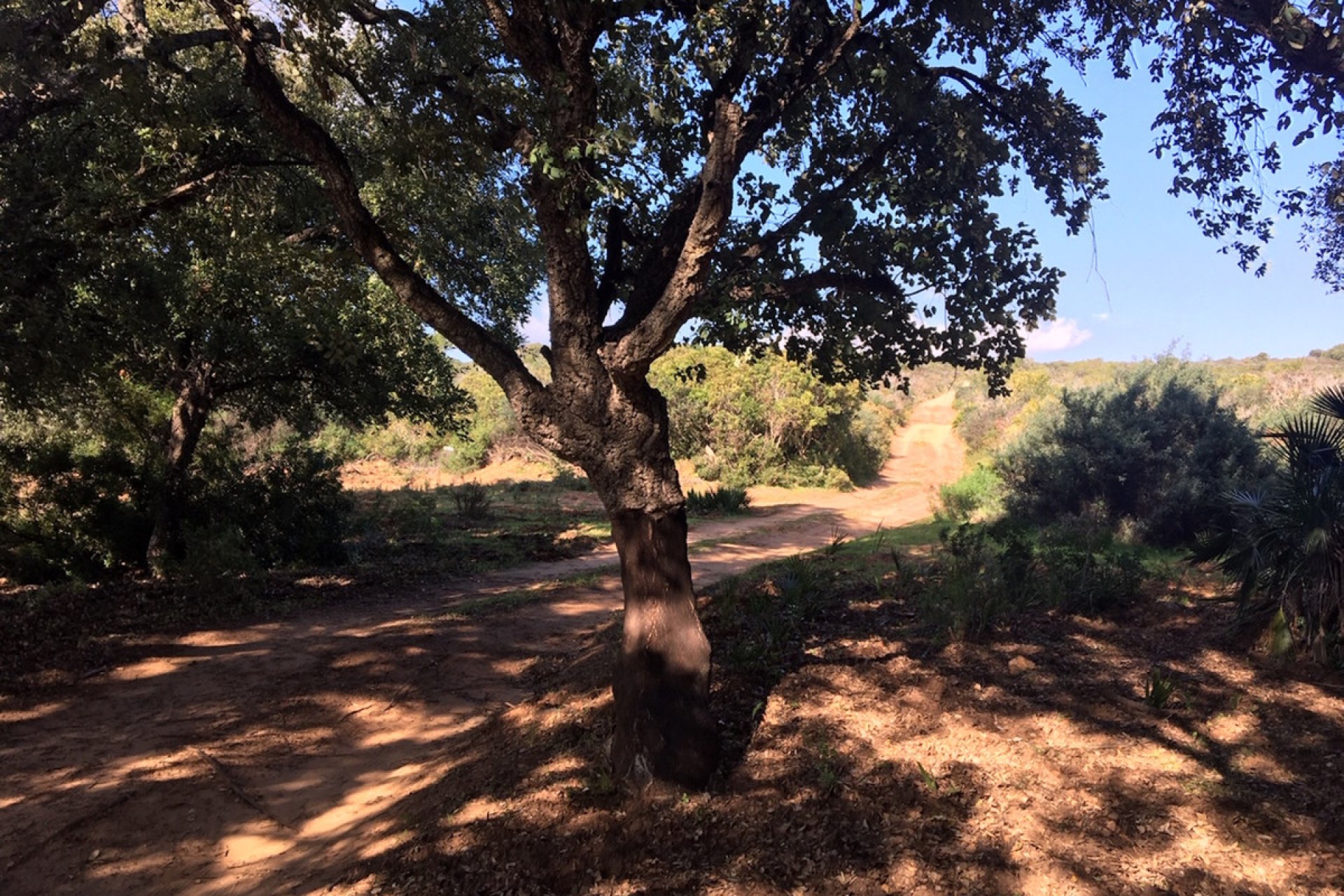 Reventa - Plot - Land - Manilva - Manilva Centro