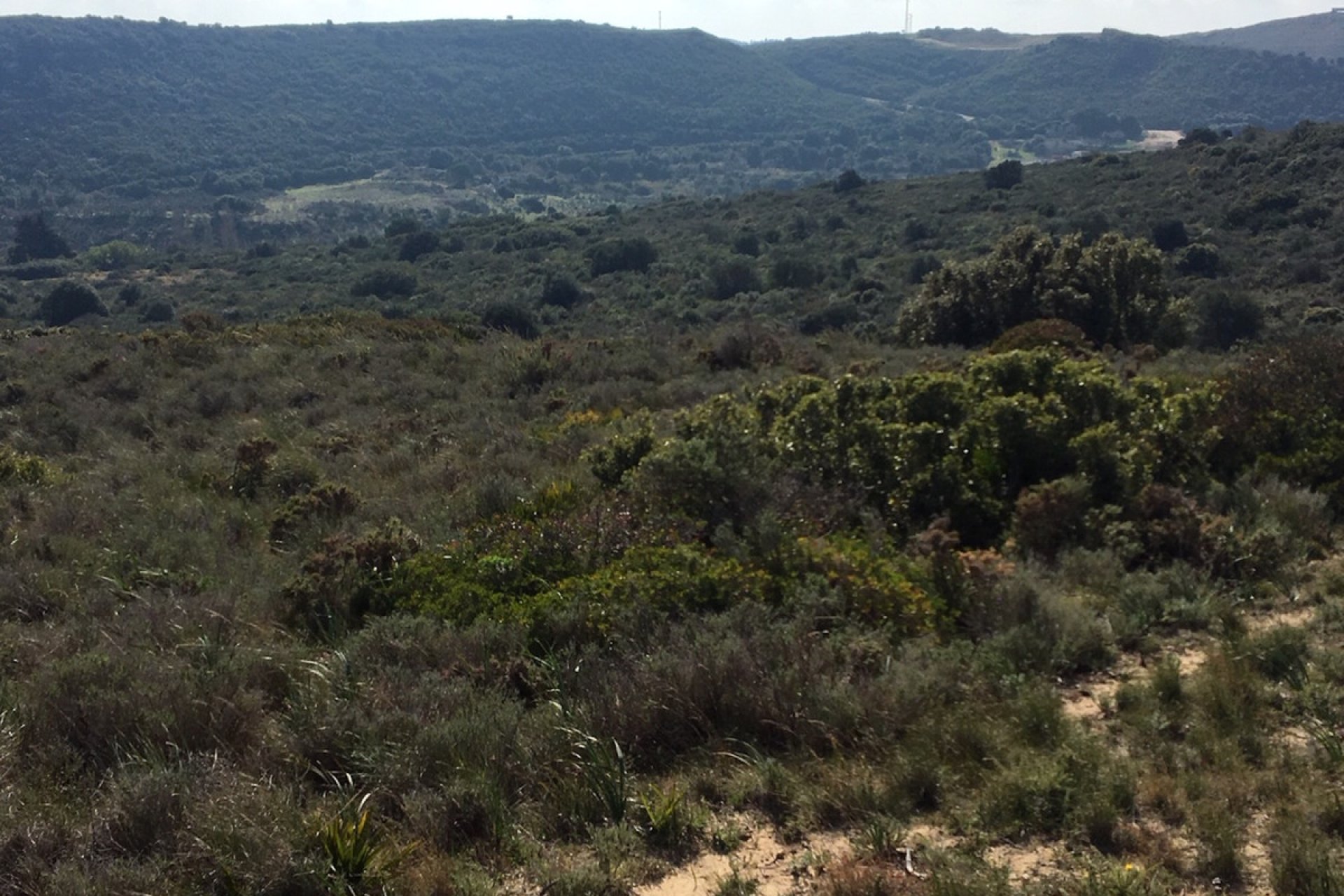 Reventa - Plot - Land - Manilva - Manilva Centro