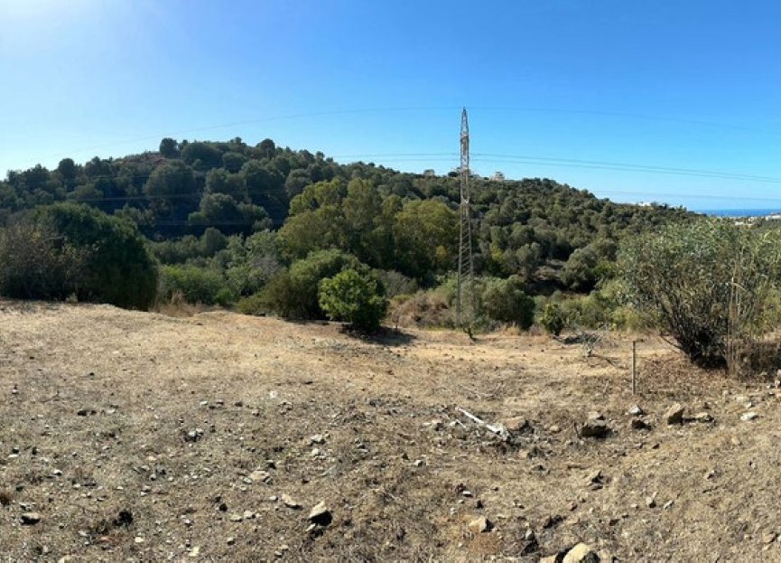 Reventa - Plot - Land - Marbella - Cabopino