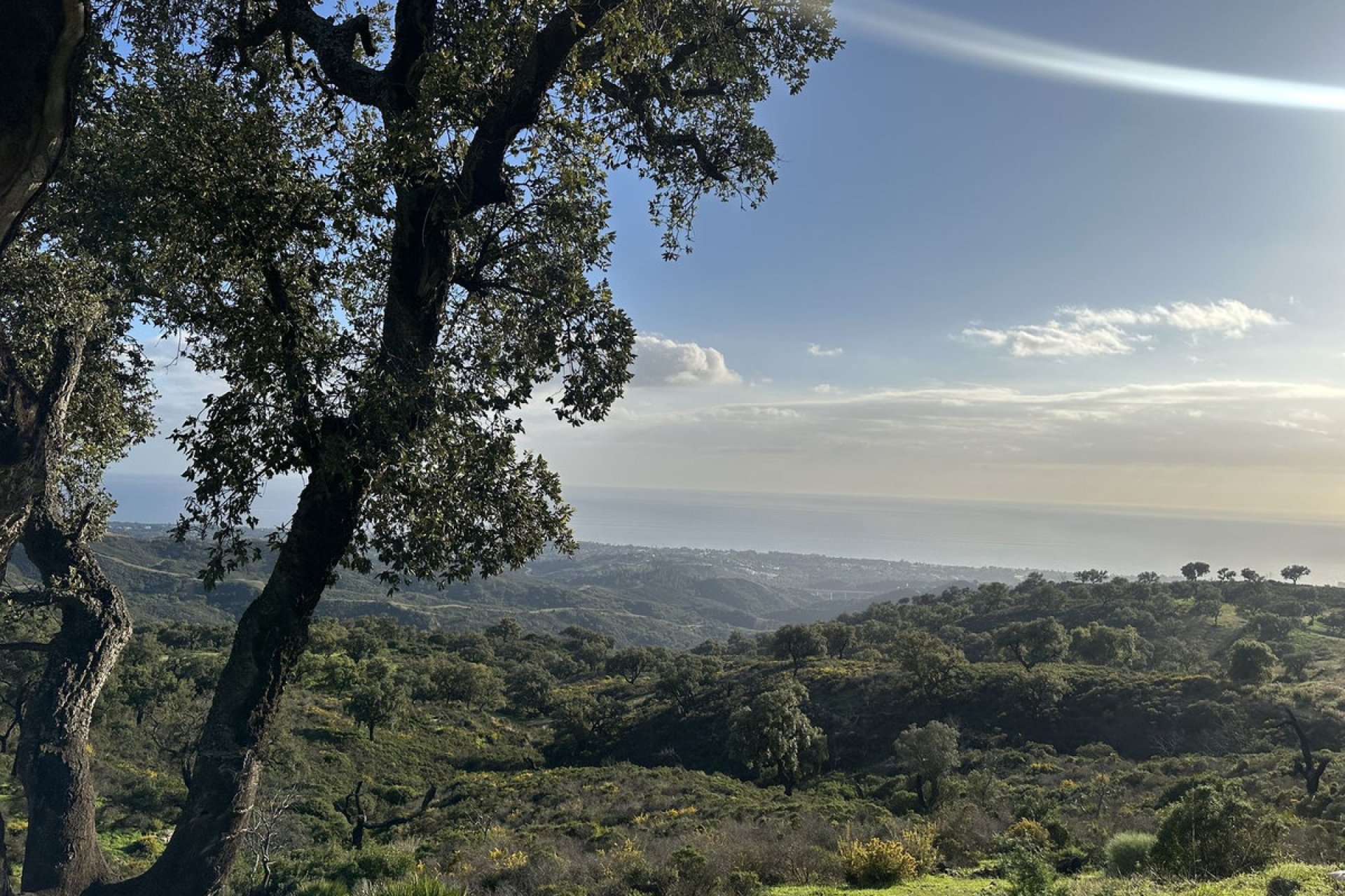 Reventa - Plot - Land - Marbella - La Mairena