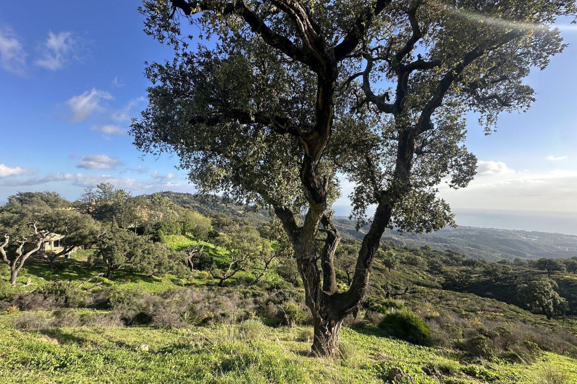 Reventa - Plot - Land - Marbella - La Mairena