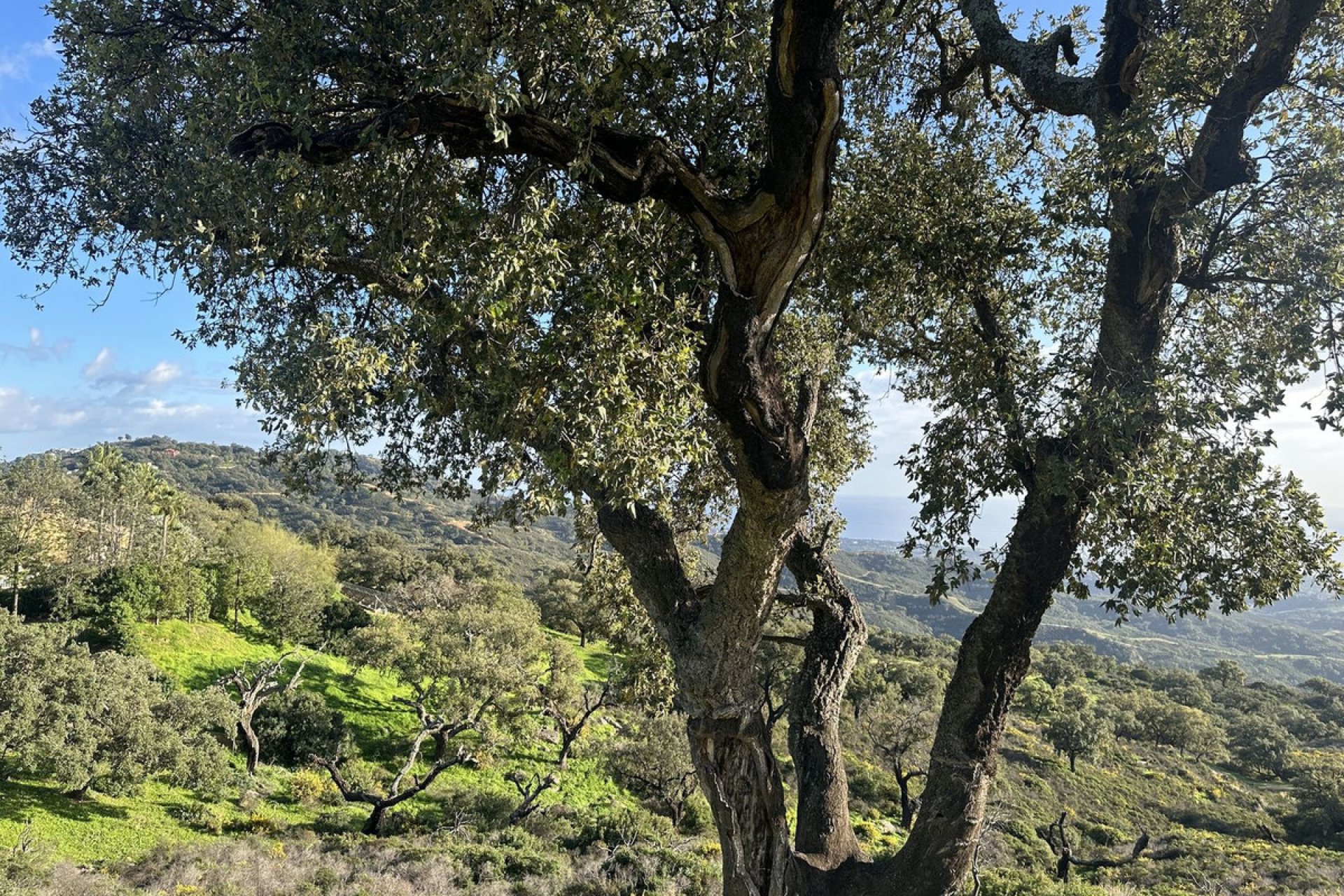 Reventa - Plot - Land - Marbella - La Mairena