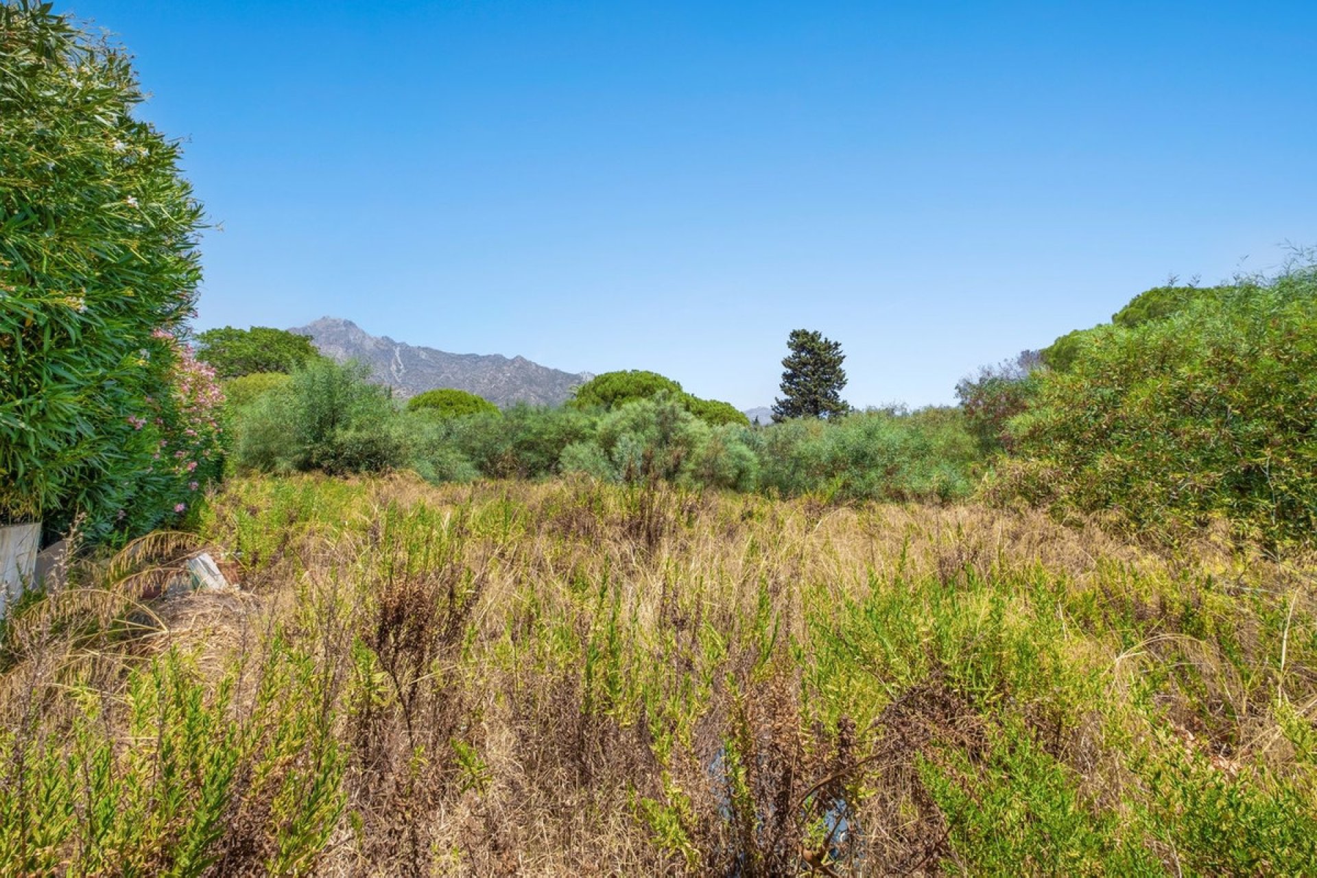 Reventa - Plot - Land - Marbella - Marbella Centro