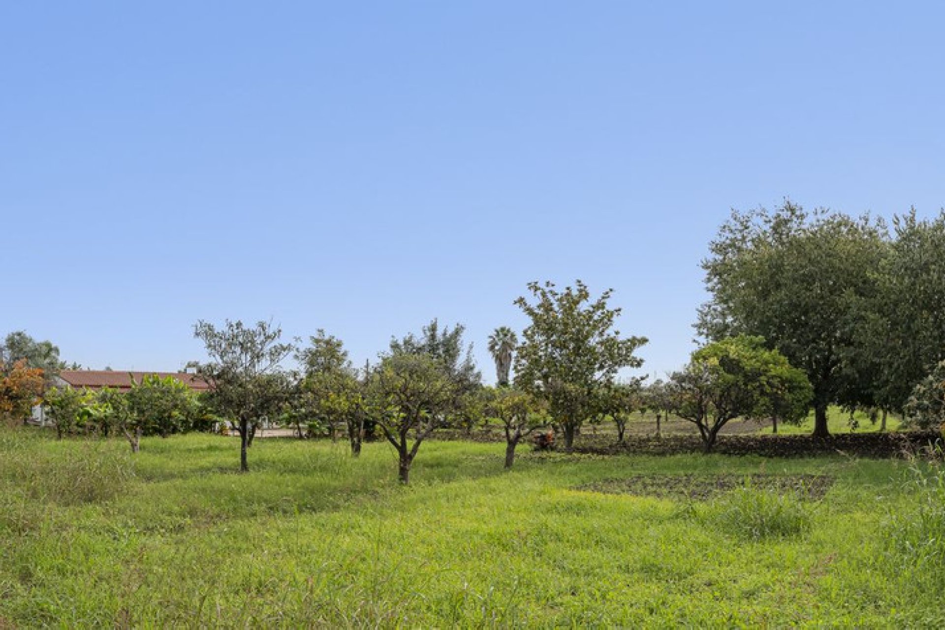 Reventa - Plot - Land - Marbella - San Pedro De Alcantara