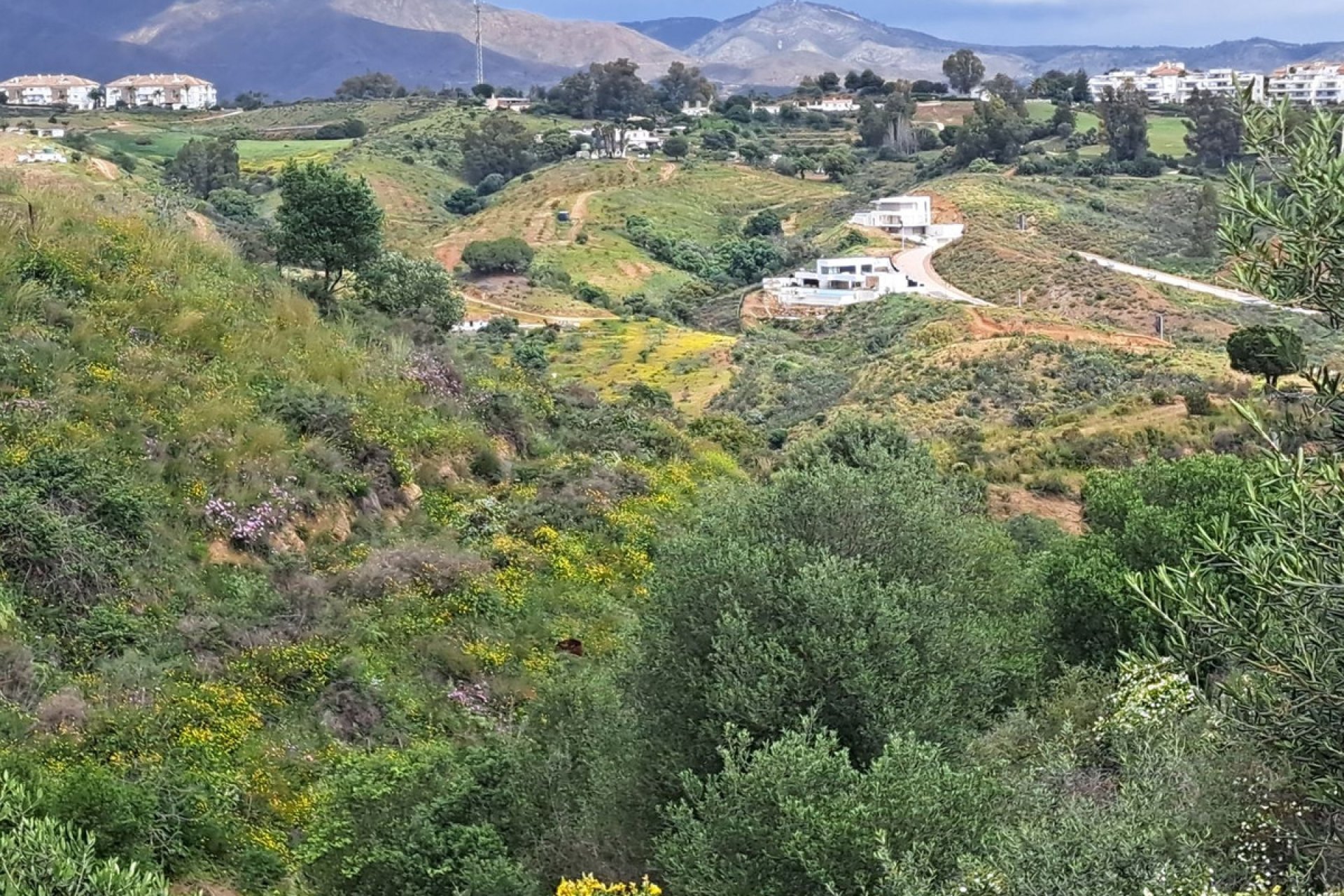 Reventa - Plot - Land - Mijas - La Cala De Mijas