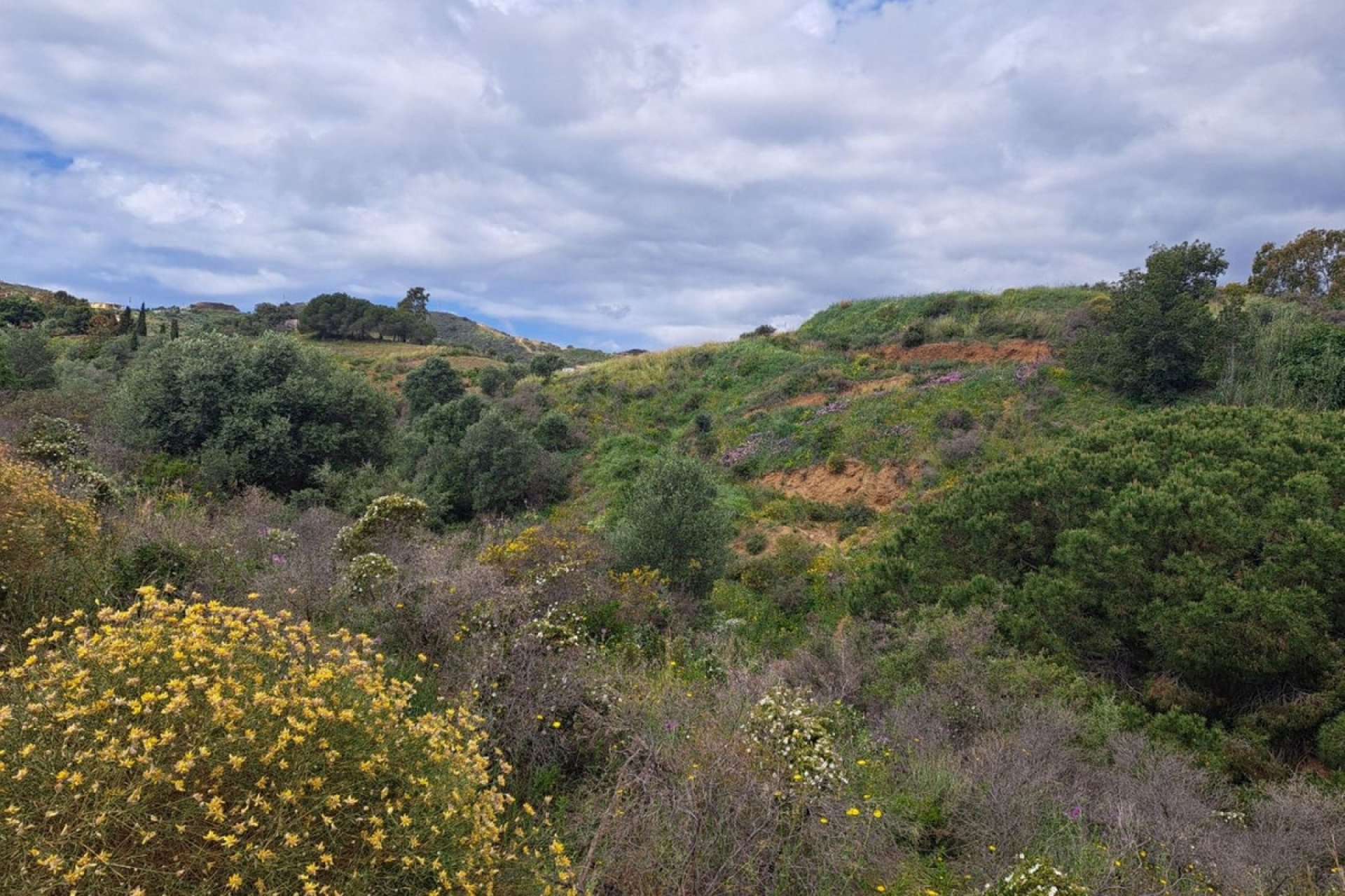 Reventa - Plot - Land - Mijas - La Cala De Mijas