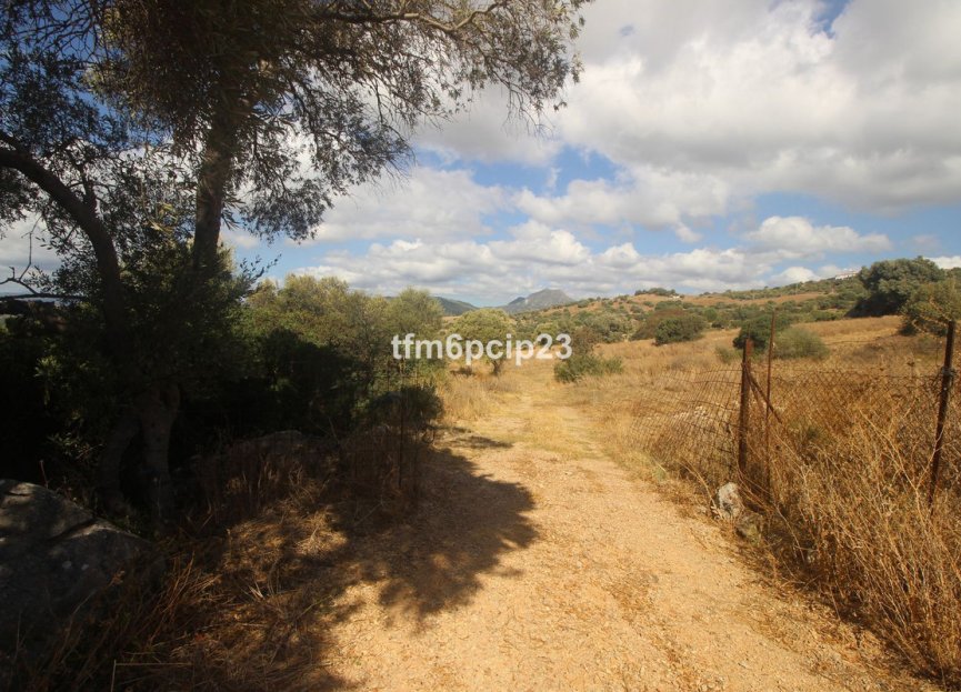 Reventa - Plot - Land with Ruin - Casares - Casares Centro