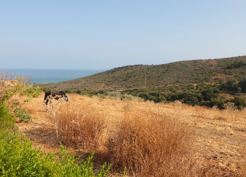 Reventa - Plot - Land with Ruin - Manilva - Manilva Centro