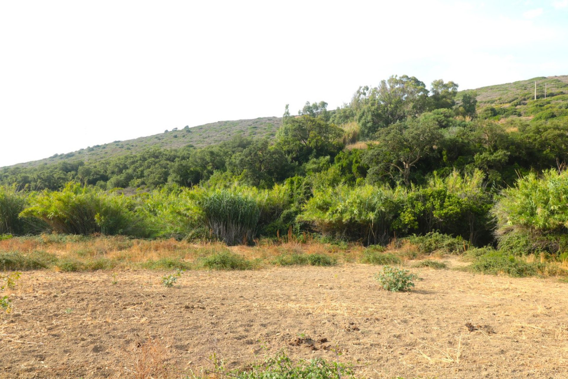Reventa - Plot - Land with Ruin - Manilva - Manilva Centro