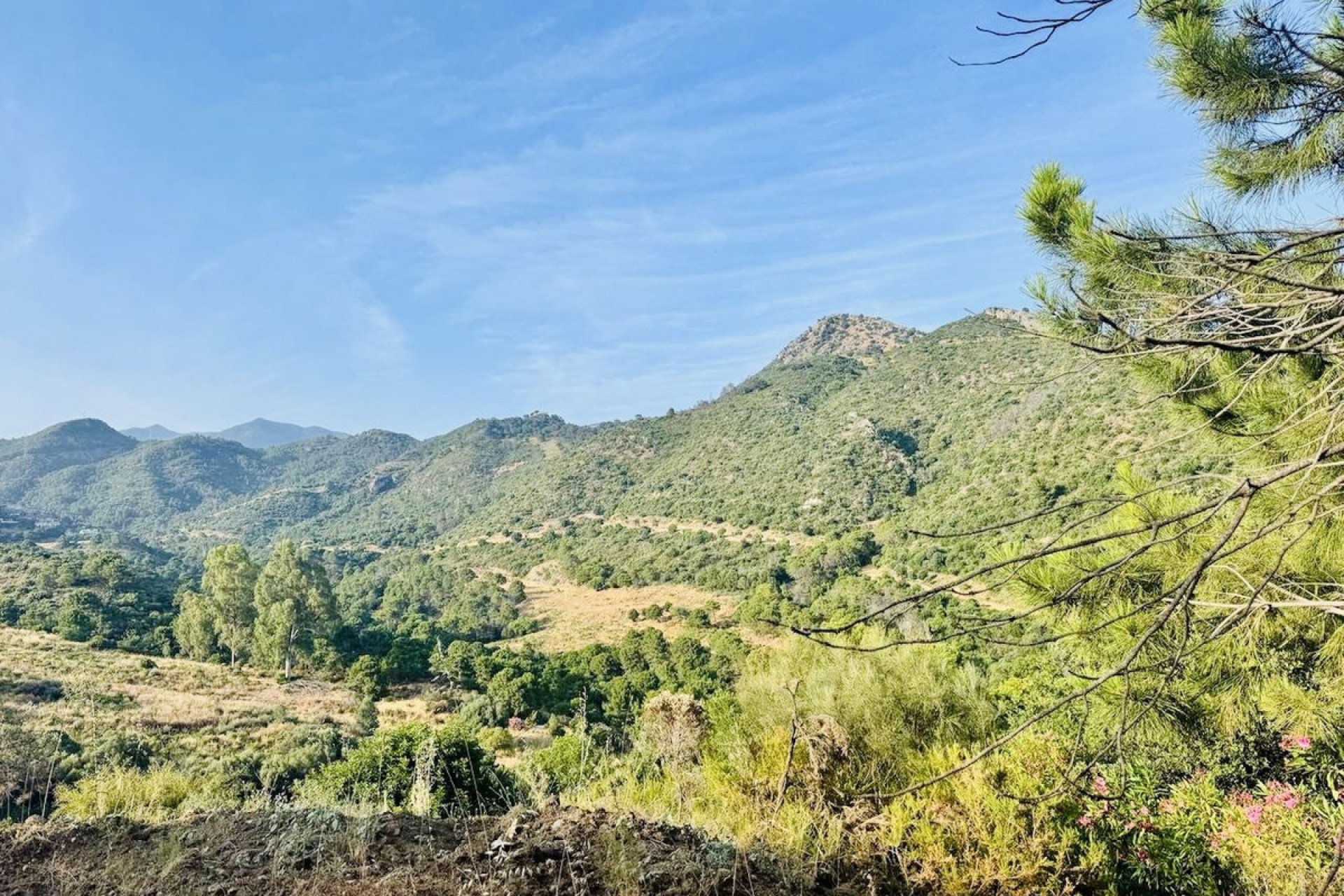 Reventa - Plot - Residential Plot - Benahavís - Benahavís Centro