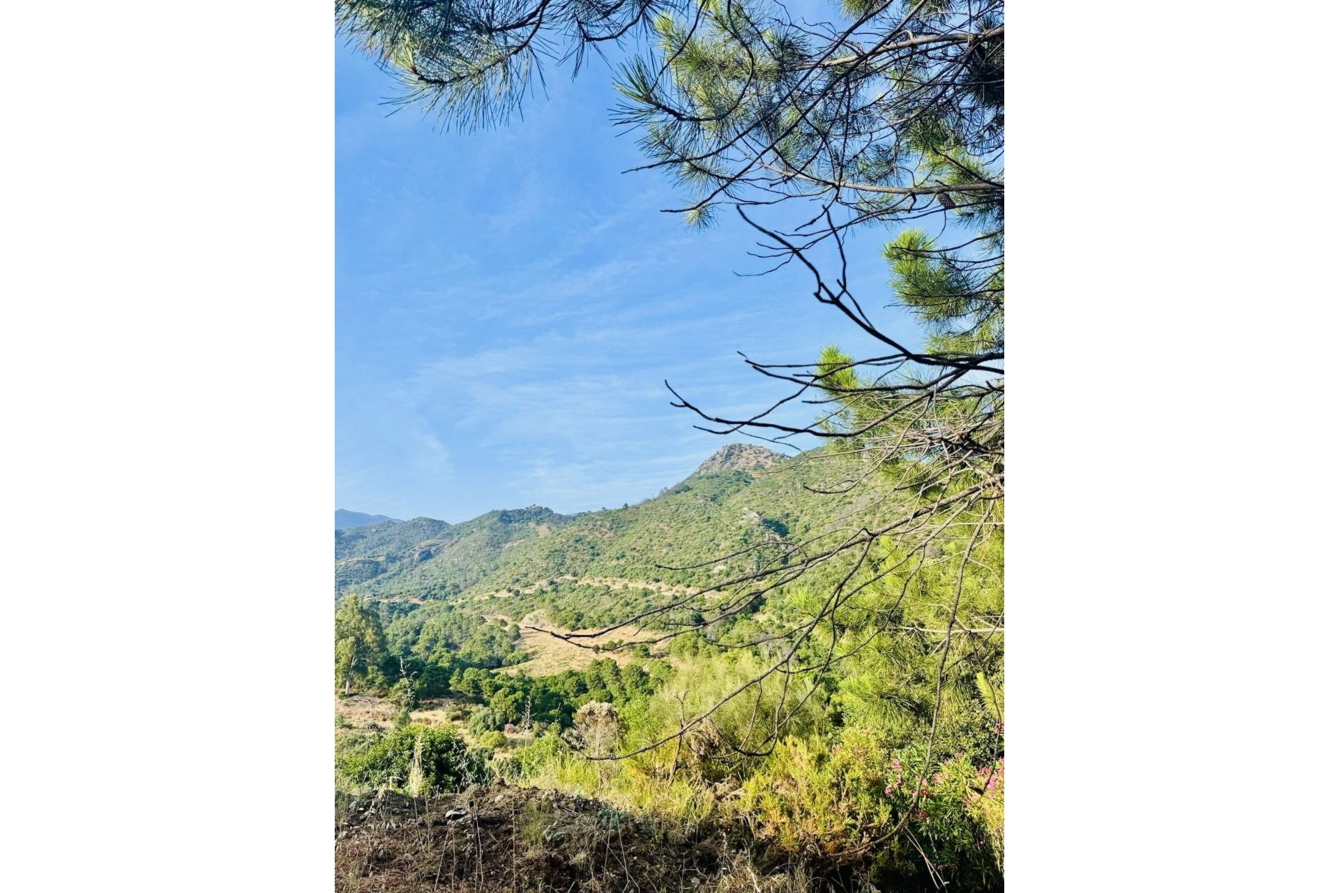 Reventa - Plot - Residential Plot - Benahavís - Benahavís Centro