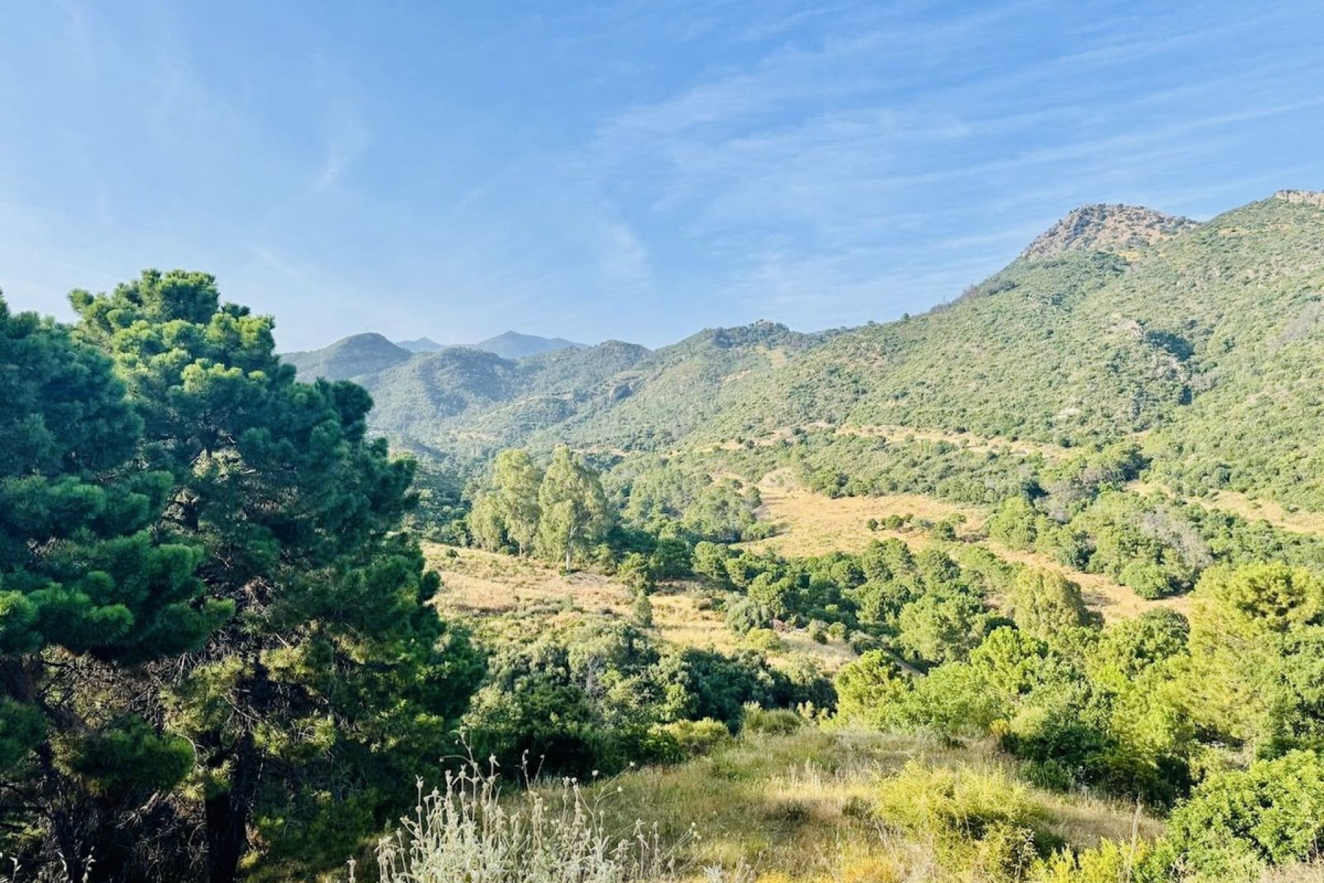 Reventa - Plot - Residential Plot - Benahavís - Benahavís Centro