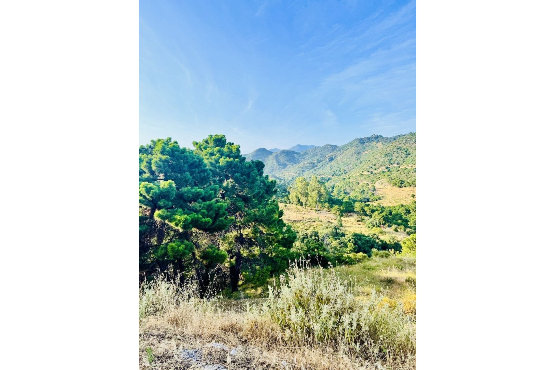 Reventa - Plot - Residential Plot - Benahavís - Benahavís Centro