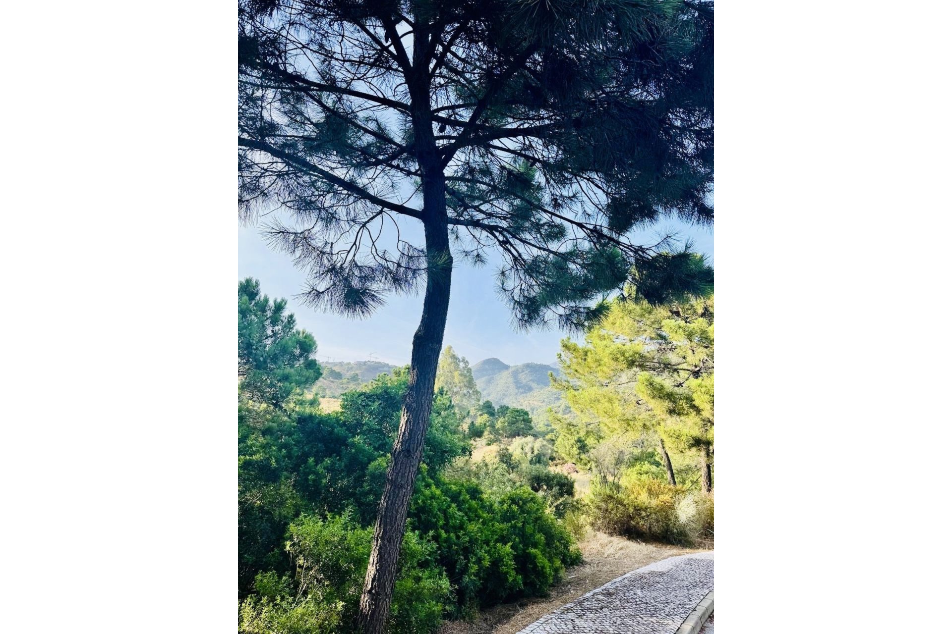 Reventa - Plot - Residential Plot - Benahavís - Benahavís Centro