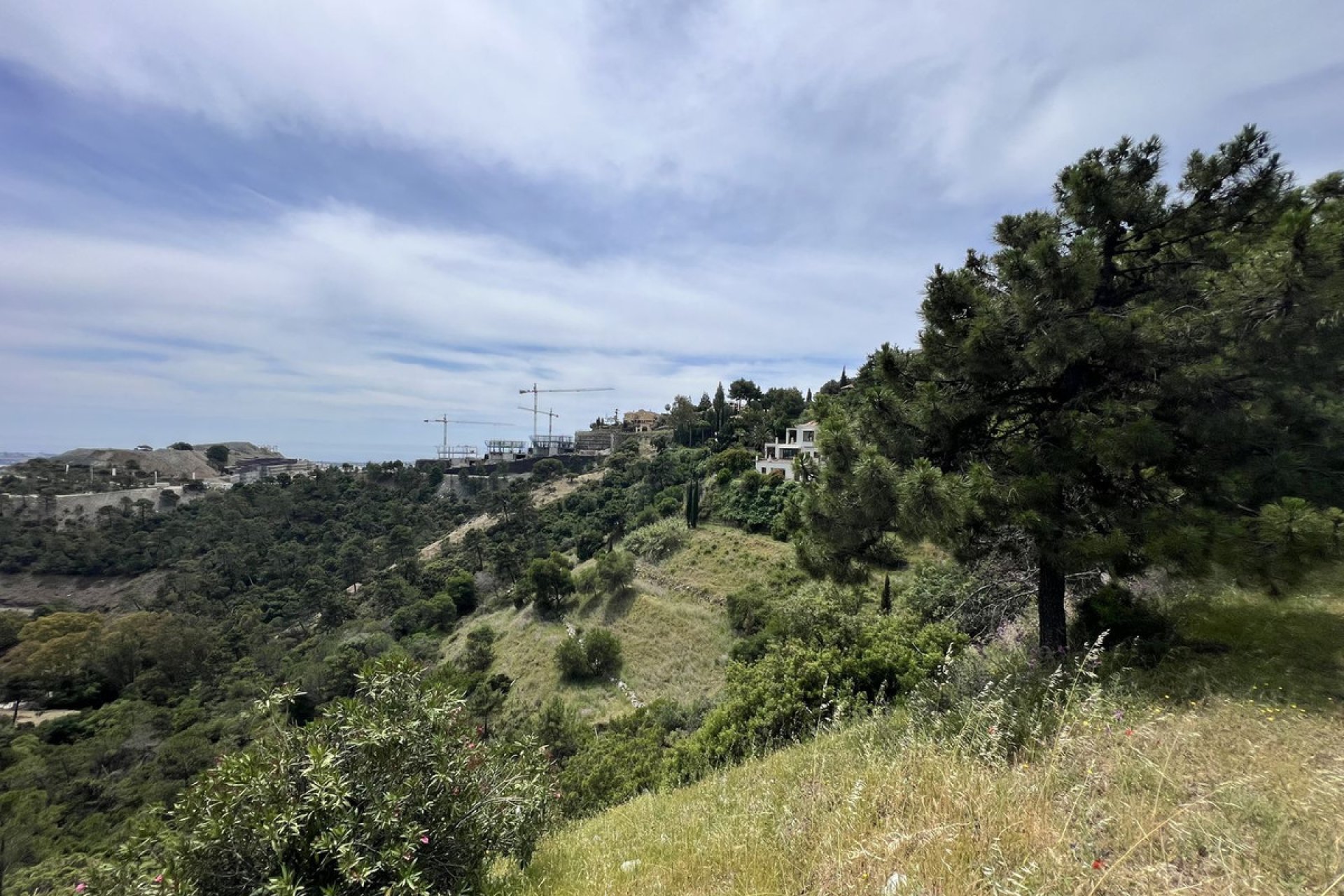 Reventa - Plot - Residential Plot - Benahavís - El Madroñal