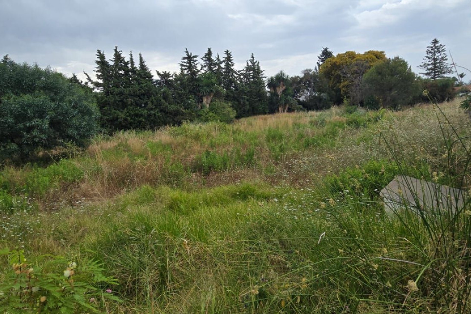 Reventa - Plot - Residential Plot - Estepona - Atalaya