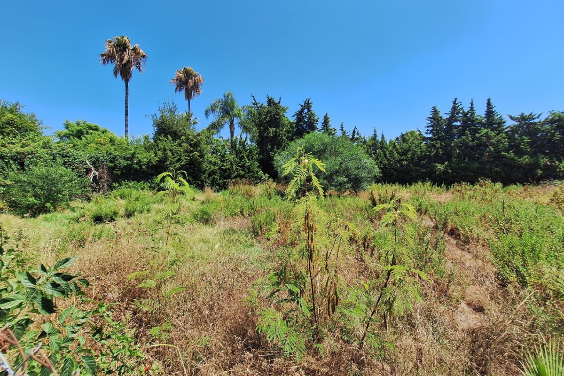 Reventa - Plot - Residential Plot - Estepona - Estepona Centro