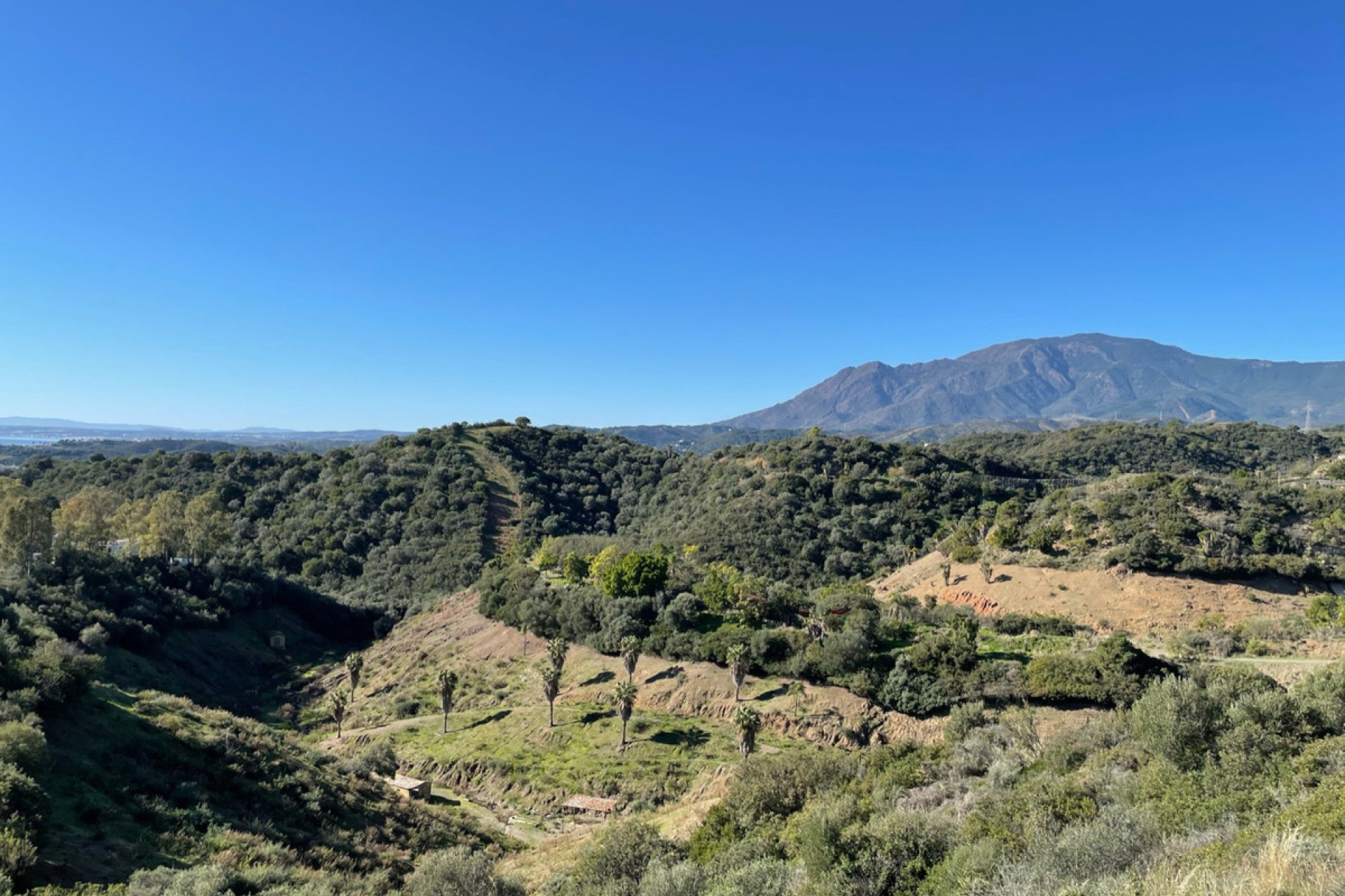 Reventa - Plot - Residential Plot - Estepona - Estepona Centro