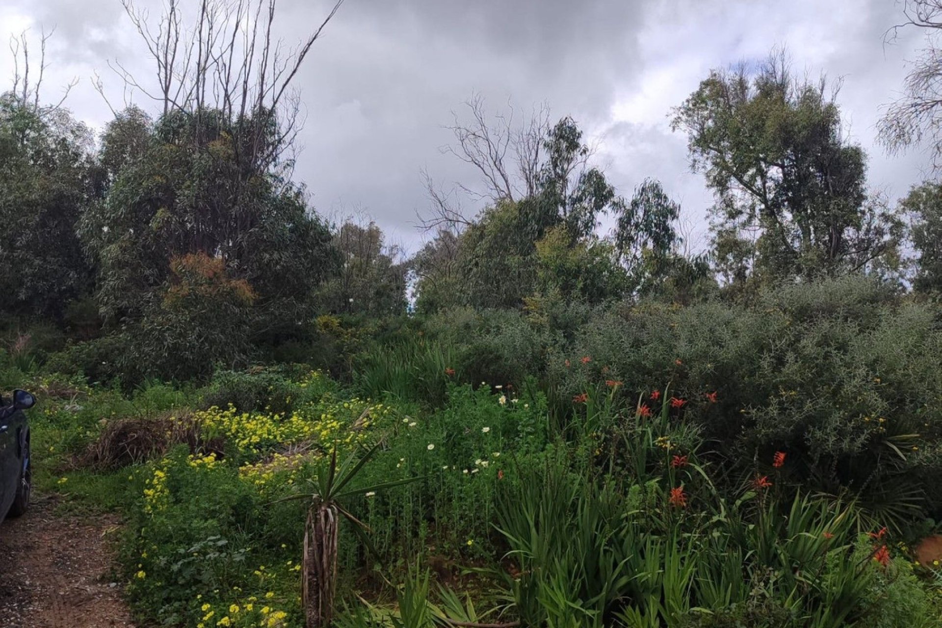 Reventa - Plot - Residential Plot - Manilva - Manilva Centro