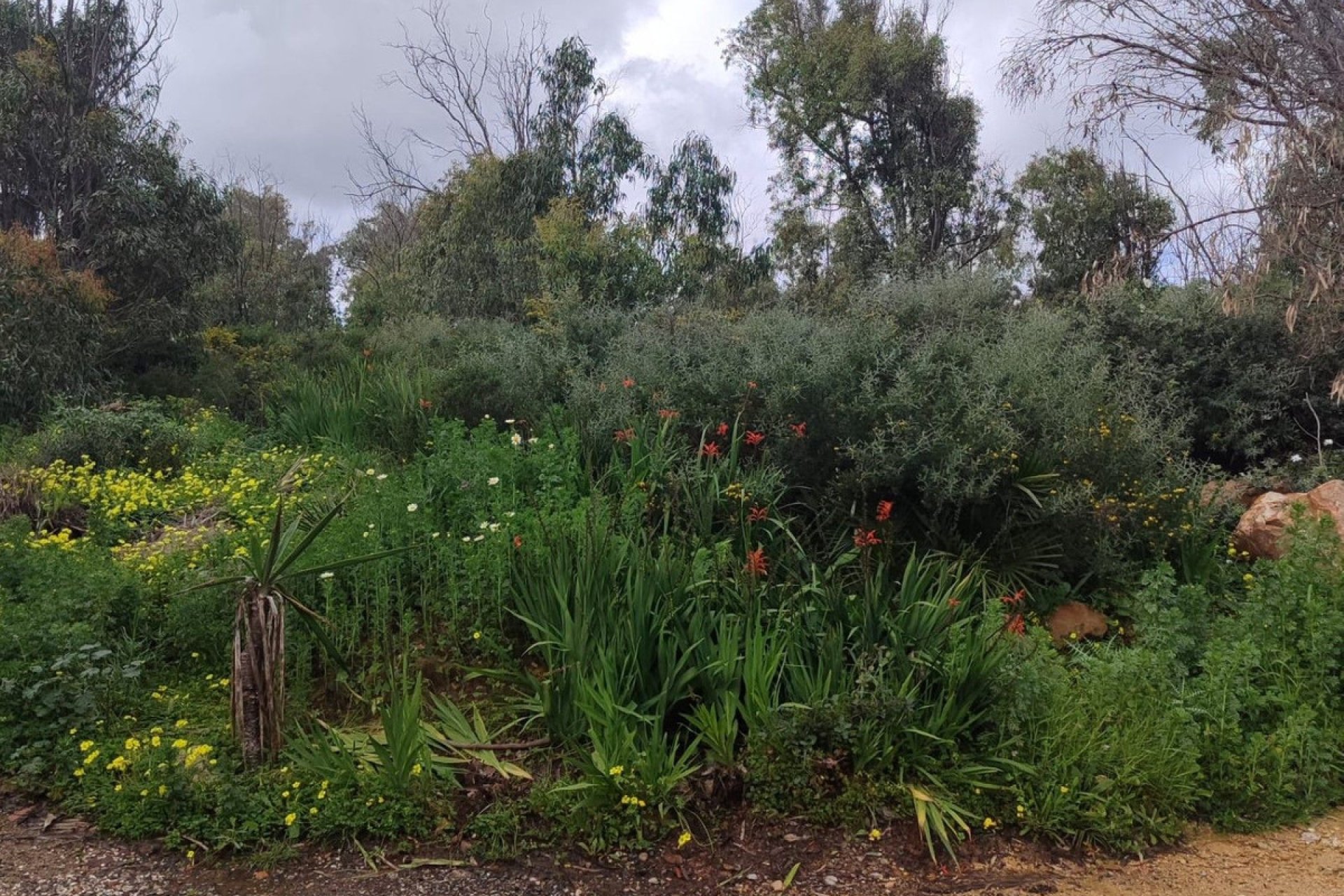 Reventa - Plot - Residential Plot - Manilva - Manilva Centro