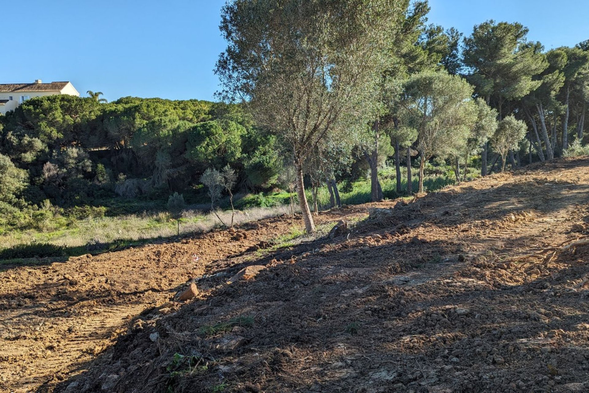 Reventa - Plot - Residential Plot - Sotogrande