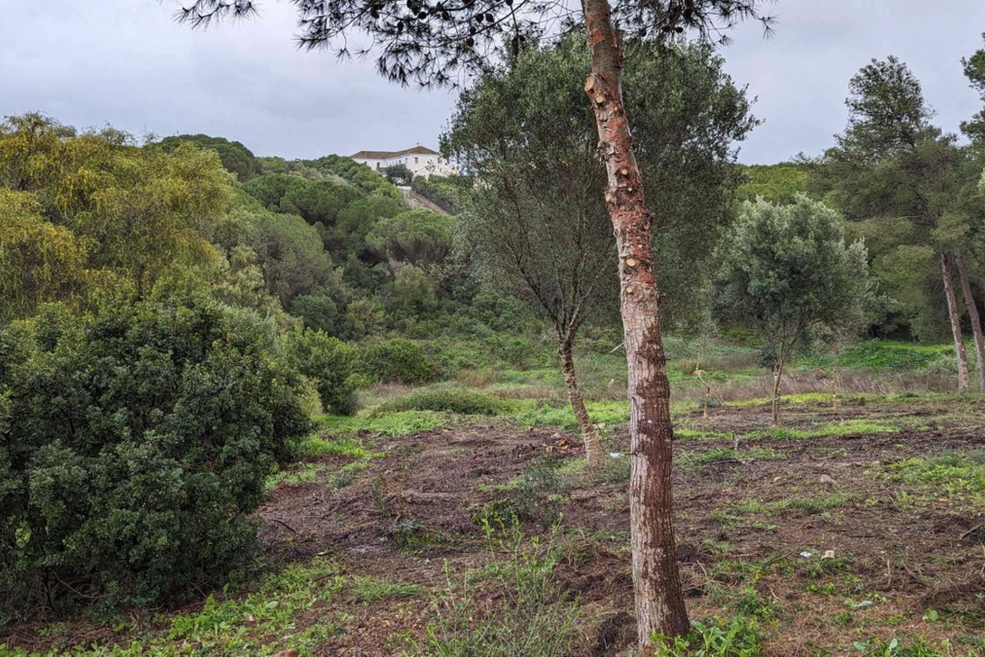 Reventa - Plot - Residential Plot - Sotogrande