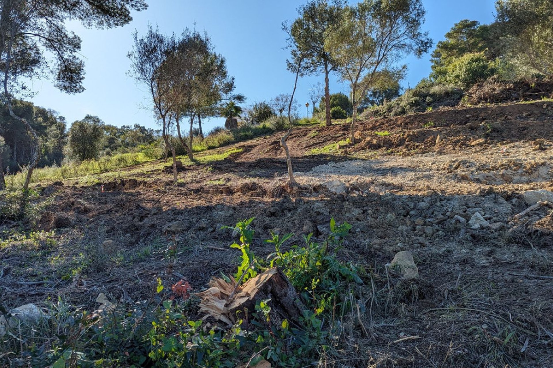 Reventa - Plot - Residential Plot - Sotogrande