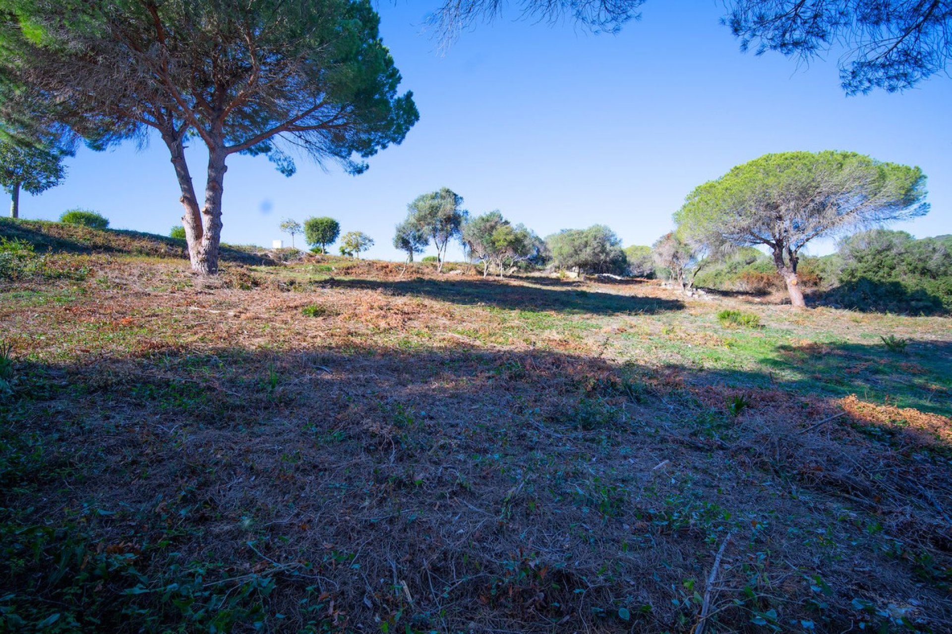 Reventa - Plot - Residential Plot - Sotogrande