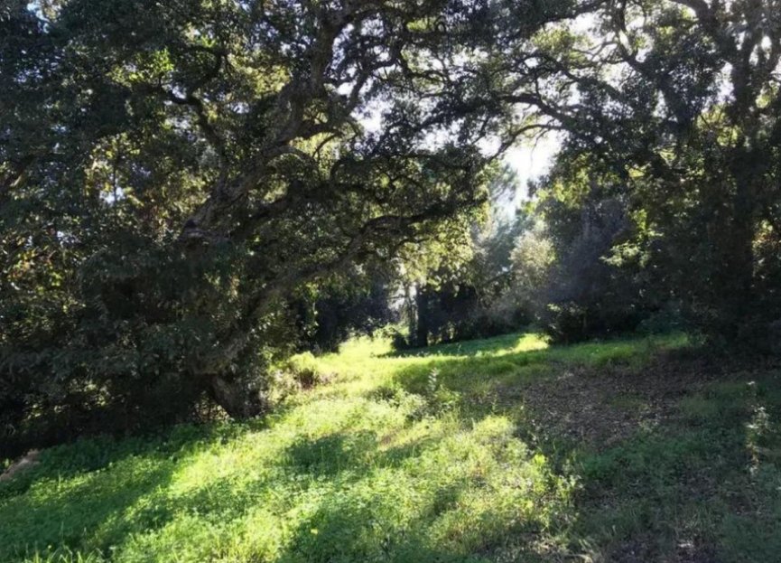 Reventa - Plot - Residential Plot - Sotogrande