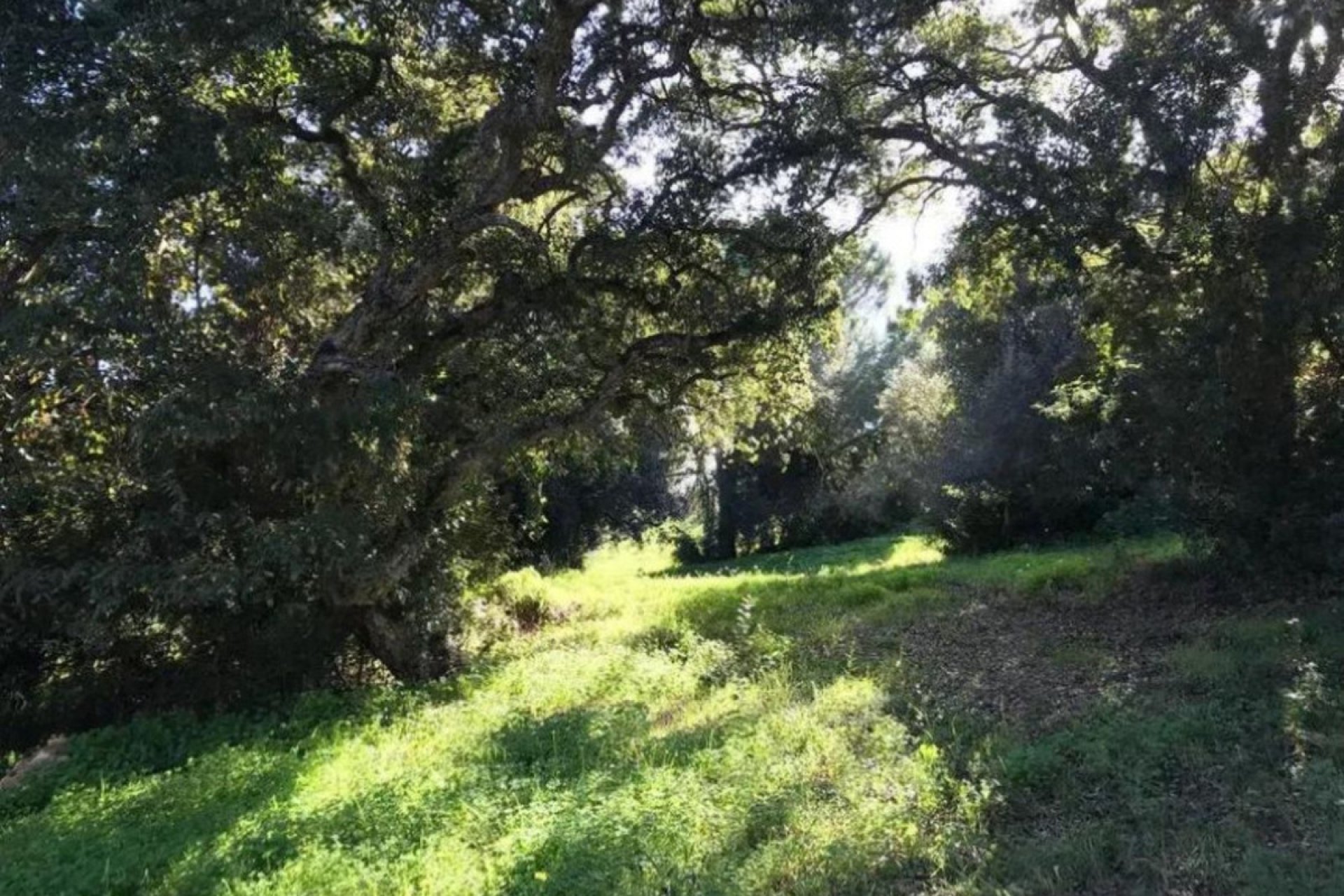 Reventa - Plot - Residential Plot - Sotogrande