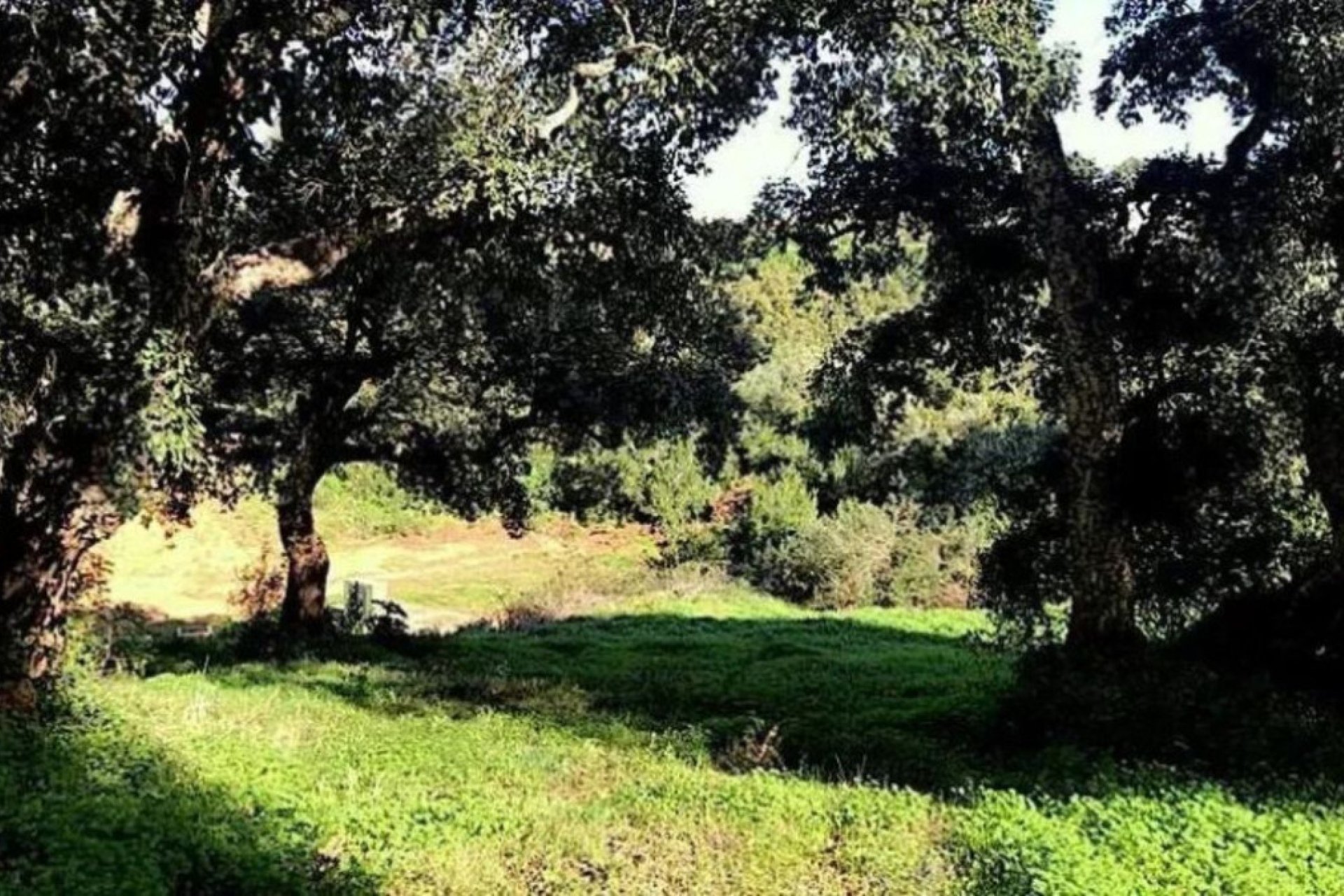 Reventa - Plot - Residential Plot - Sotogrande