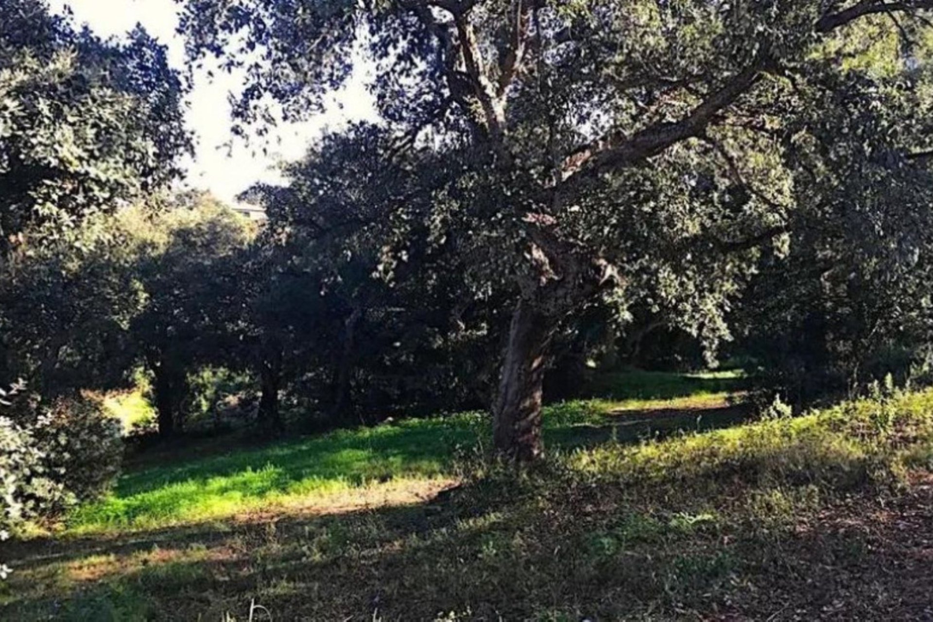 Reventa - Plot - Residential Plot - Sotogrande