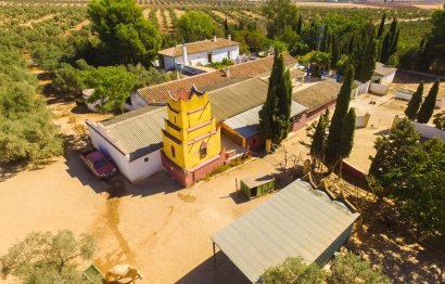 Resale - House - Finca - Cortijo - Antequera - Antequera Centro