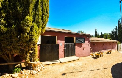 Resale - House - Finca - Cortijo - Antequera - Antequera Centro