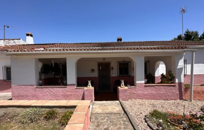 Resale - House - Detached Villa - Sotogrande