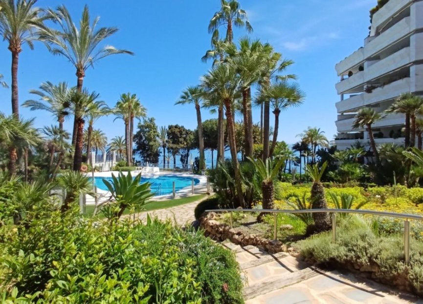 Resale - Apartment - Middle Floor Apartment - Marbella - Marbella Centro