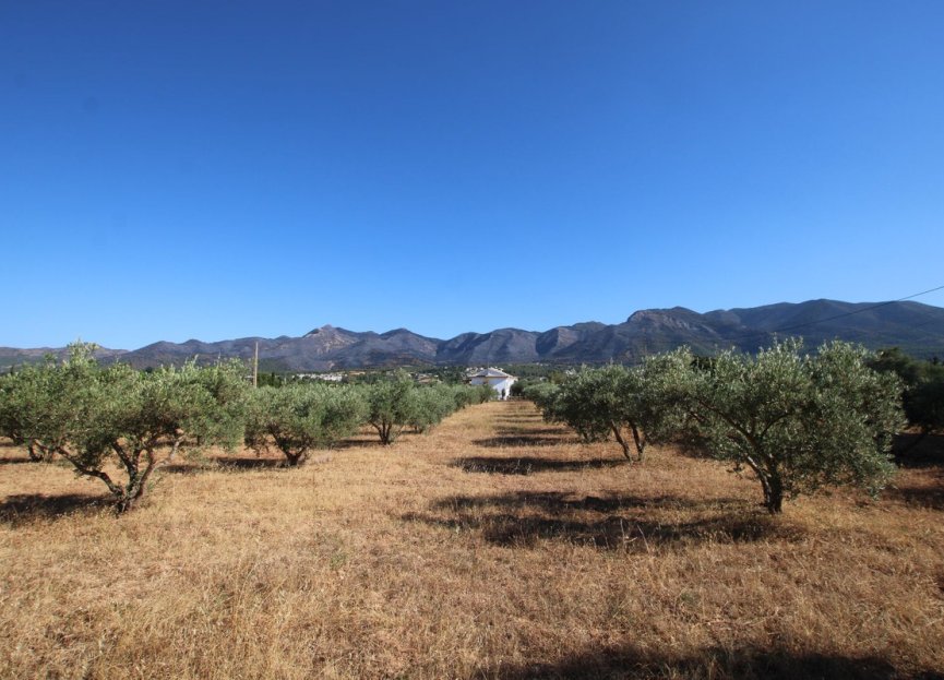 Resale - House - Finca - Cortijo - Alhaurín el Grande - Alhaurín el Grande Centro