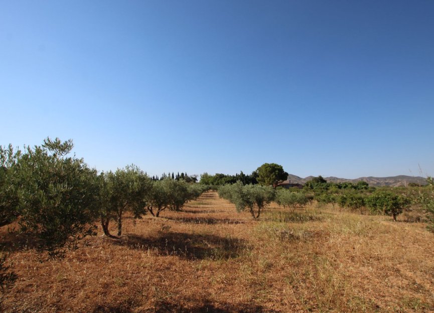 Resale - House - Finca - Cortijo - Alhaurín el Grande - Alhaurín el Grande Centro