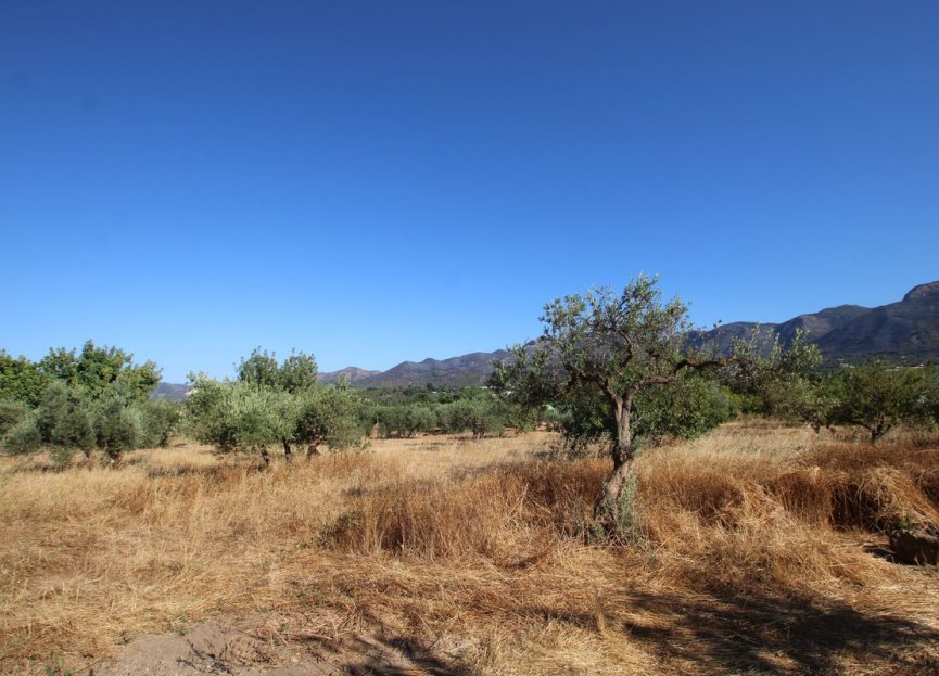 Resale - House - Finca - Cortijo - Alhaurín el Grande - Alhaurín el Grande Centro