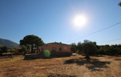 Resale - House - Finca - Cortijo - Alhaurín el Grande - Alhaurín el Grande Centro