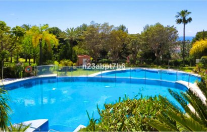 Reventa - Apartment - Middle Floor Apartment - Marbella - Nueva Andalucia