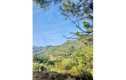 Resale - Plot - Residential Plot - Benahavís - Benahavís Centro