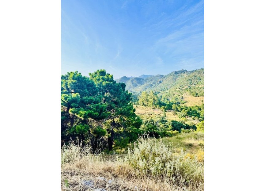 Resale - Plot - Residential Plot - Benahavís - Benahavís Centro