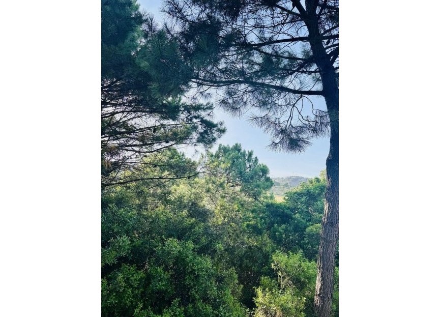 Resale - Plot - Residential Plot - Benahavís - Benahavís Centro