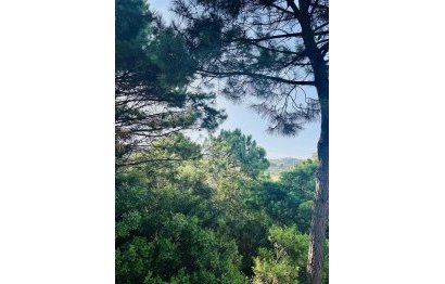 Resale - Plot - Residential Plot - Benahavís - Benahavís Centro