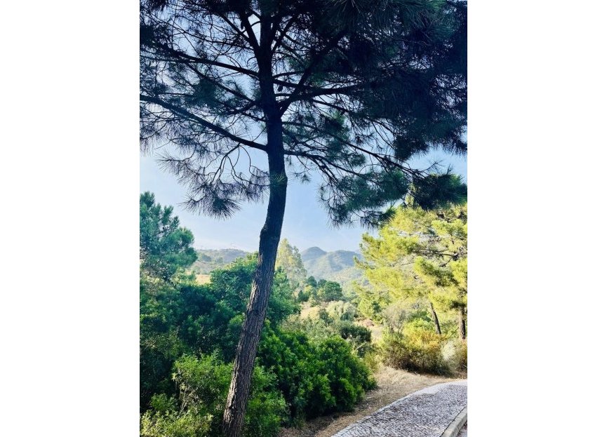 Resale - Plot - Residential Plot - Benahavís - Benahavís Centro